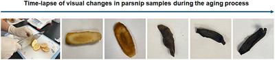 Post-harvest processed parsnip showed improved anti-oxidative capacity and protective potential against acrolein-induced inflammation in vitro and in vivo